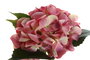 DKD Home Decor Ramo de Hortensias en Poliéster Surtido de 2 Colores
