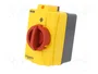 SCHNEIDER ELECTRIC Seccionador principal de seguridad TeSys VARIO 3 polos 20A IP65