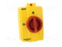 SCHNEIDER ELECTRIC Seccionador principal de seguridad TeSys VARIO 3 polos 20A IP65