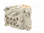 ILME CSHF 06 Conector HDC Plantilla de Contacto Hembra de 6 Pines