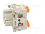 ILME CSHF 06 Conector HDC Plantilla de Contacto Hembra de 6 Pines