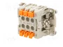ILME CSHF 06 Conector HDC Plantilla de Contacto Hembra de 6 Pines