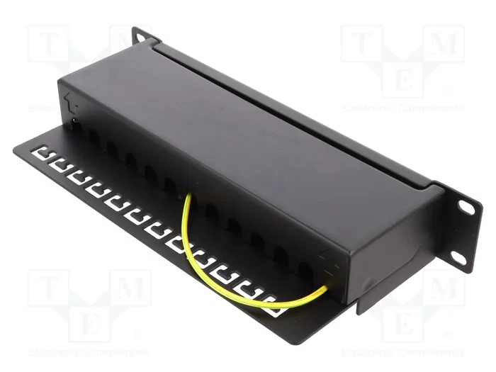 GOOBAY Patch Panel Cat 6a de 12 puertos RJ45 para rack de 10 pulgadas