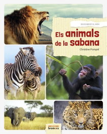 Els animals de la sabana, Christine Pompeii - BROMERA EDICIONS