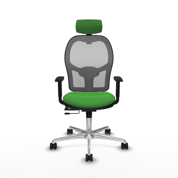 PIQUERAS Y CRESPO Silla de oficina Jorquera con mecanismo Sincro/Traslack Verde y Gris PIQUERAS Y CRESPO Silla de oficina Jorquera con mecanismo Sincro/Traslack Verde y Gris