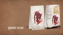 Dungeons & Dragons RPG Cartas de Encuentro Challenge Rating 0-6: Pack 1 *Inglés*