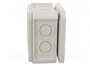 OBO BETTERMANN Caja de conexiones T 40 gris claro