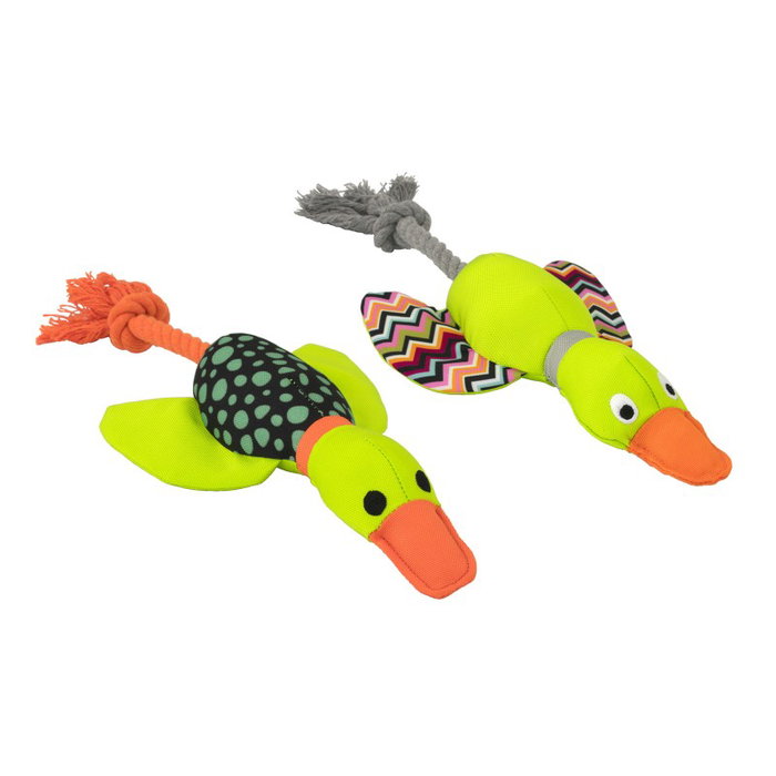 Nayeco Pato Harry con Cuerda Dental 33 cm (Pack de 2 unidades)