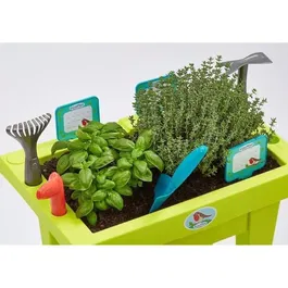Ecoiffier 4290 La Jardinera Adornada 31 cm con 11 Accesorios para Jardinería Infantil