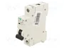 Promfactor Baltic Interruptor magnetotérmico ECO 1 Polo 6A Curva C