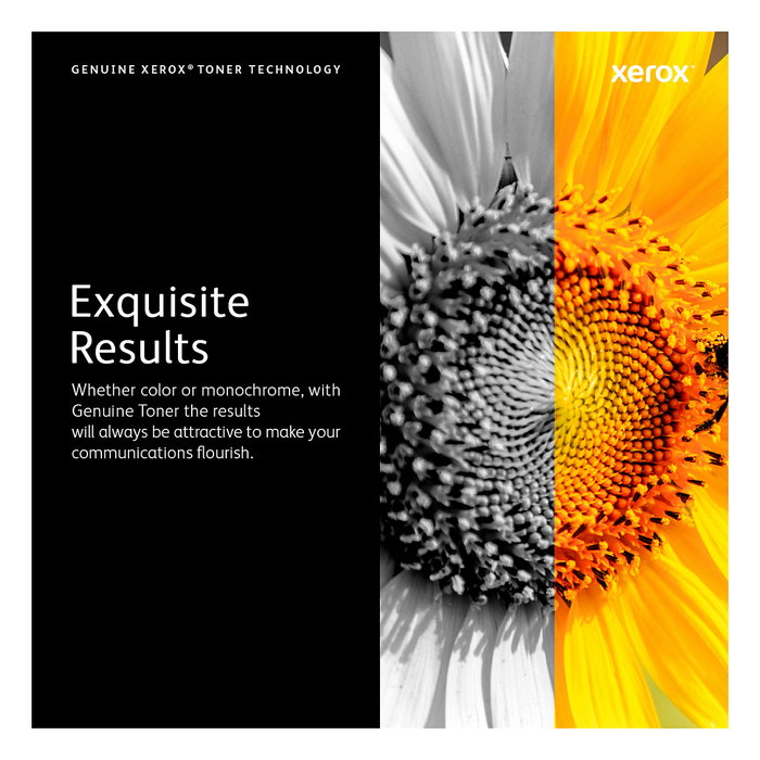 Xerox Cartucho de Tóner Original Negro 106R02722 Alto Rendimiento (14.1k páginas) para Phaser 3610 / WorkCentre 3615