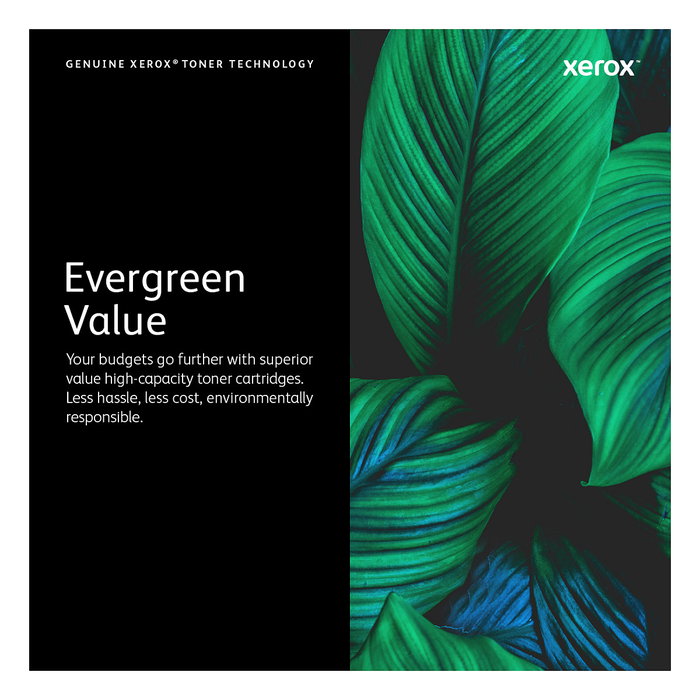 Xerox Cartucho de Tóner Original Negro 106R02722 Alto Rendimiento (14.1k páginas) para Phaser 3610 / WorkCentre 3615
