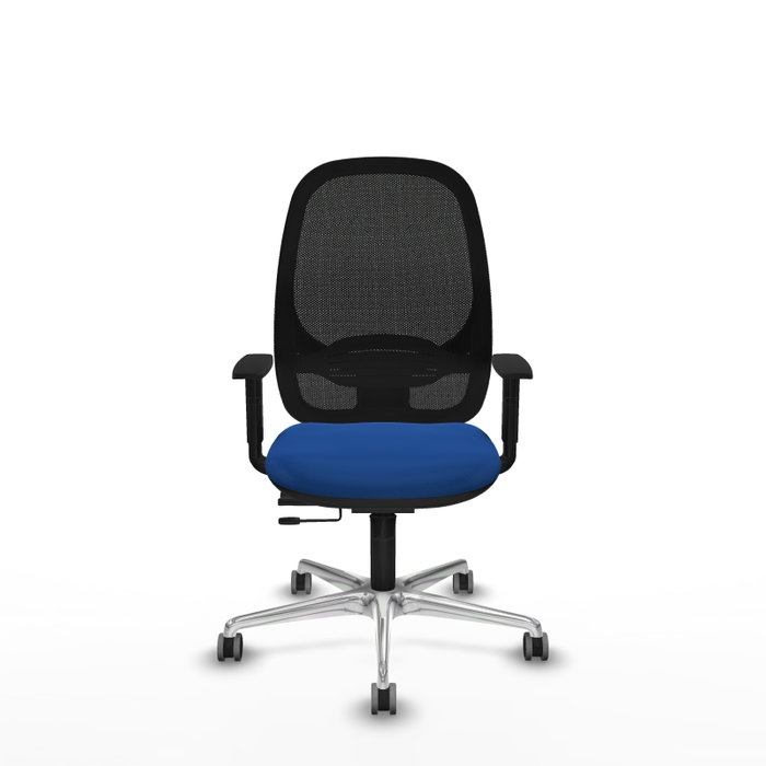 PIQUERAS Y CRESPO Silla de oficina Cilanco con mecanismo Sincro/Traslack, Azul y Negro PIQUERAS Y CRESPO Silla de oficina Cilanco con mecanismo Sincro/Traslack, Azul y Negro