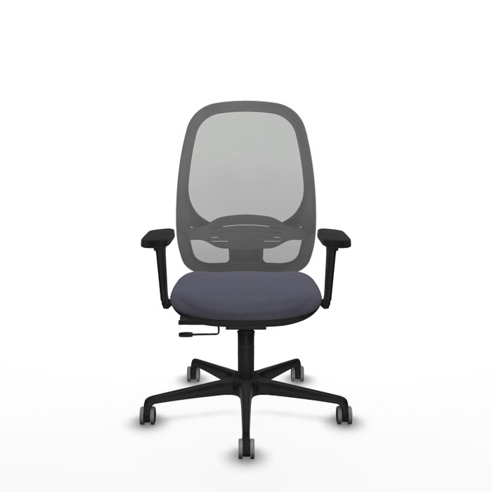 PIQUERAS Y CRESPO Silla de oficina Cilanco Gris con Brazos 3D PIQUERAS Y CRESPO Silla de oficina Cilanco Gris con Brazos 3D