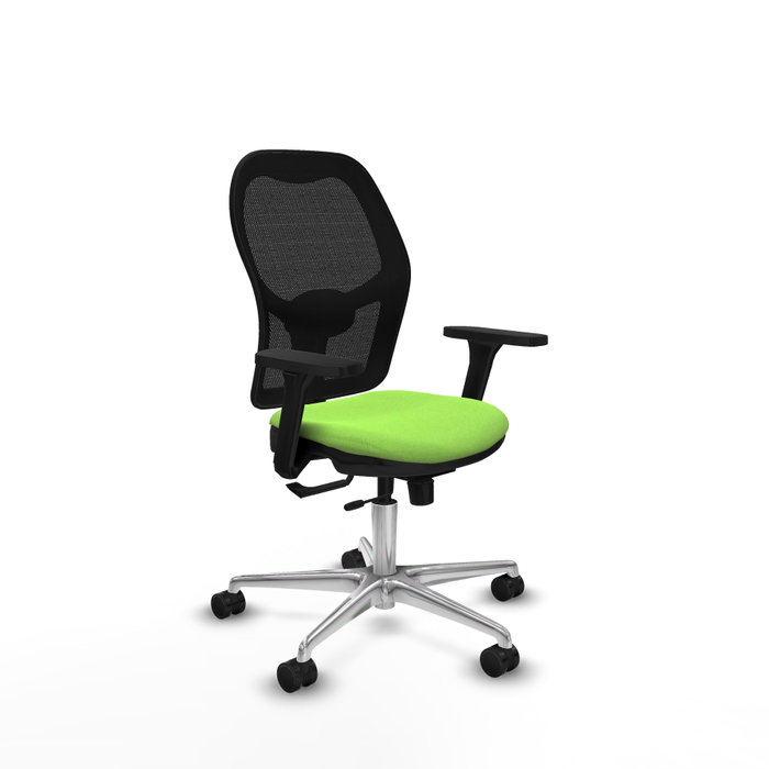 PIQUERAS Y CRESPO Silla de oficina Jorquera con mecanismo Sincro/Traslack Pistacho y Negro PIQUERAS Y CRESPO Silla de oficina Jorquera con mecanismo Sincro/Traslack Pistacho y Negro