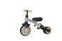 Ociotrends Bicicleta 3 en 1 Triciclo Empuje Equilibrio - Desde 2 años - 10 Pulgadas