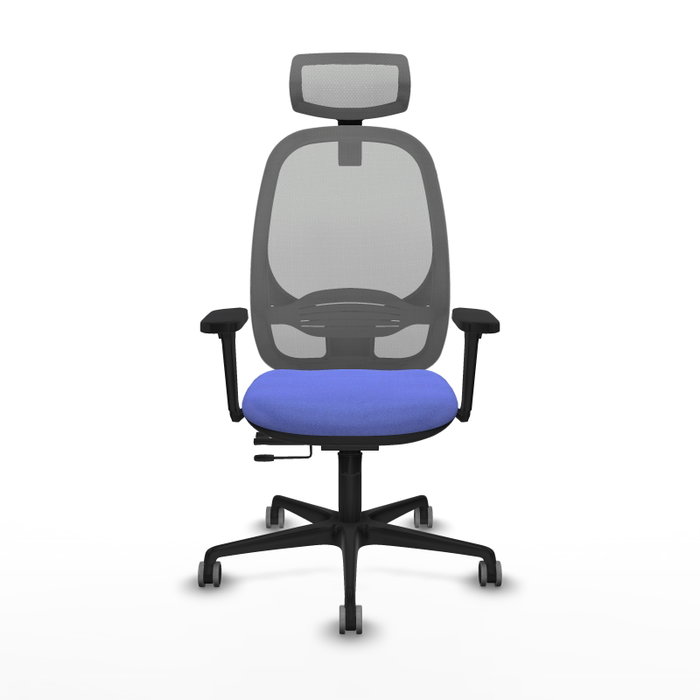 PIQUERAS Y CRESPO Silla de oficina Cilanco con mecanismo Sincro/Traslack, Azul claro y Gris PIQUERAS Y CRESPO Silla de oficina Cilanco con mecanismo Sincro/Traslack, Azul claro y Gris