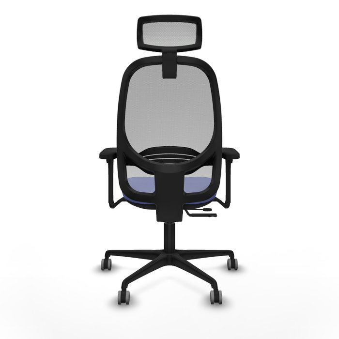 PIQUERAS Y CRESPO Silla de oficina Cilanco con mecanismo Sincro/Traslack, Azul claro y Gris PIQUERAS Y CRESPO Silla de oficina Cilanco con mecanismo Sincro/Traslack, Azul claro y Gris