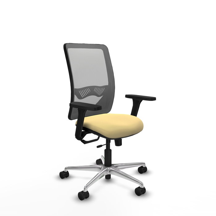 PIQUERAS Y CRESPO Silla de oficina Zulema con mecanismo Sincro/Traslack, Crema y Gris PIQUERAS Y CRESPO Silla de oficina Zulema con mecanismo Sincro/Traslack, Crema y Gris