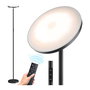 Cristalrecord Dencel Lámpara de Pie LED 24W, Dimmable 3 CCT (2700K-4000K-6500K), 2200 LM con Mando, Temporizador 1h, Color Negro, Ø25x175 cm