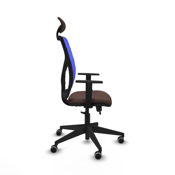 PIQUERAS Y CRESPO Silla de oficina Motilla con mecanismo Sincro/Traslack, Marrón oscuro y Azul PIQUERAS Y CRESPO Silla de oficina Motilla con mecanismo Sincro/Traslack, Marrón oscuro y Azul