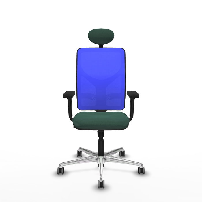 PIQUERAS Y CRESPO Silla de oficina Motilla con mecanismo Sincro, Verde botella y Azul
