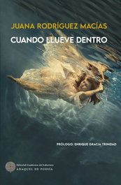 Cuando llueve dentro, Juana Rodríguez Macías - Cuadernos del Laberinto