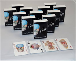 ELSEVIER UK Netter Playing Cards
