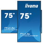 iiyama LH7565UHSB-B1 Monitor Táctil Comercial 4K UHD IPS de 75 Pulgadas (190 cm) con Android, 24/7, 60Hz, Wi-Fi, 2xHDMI, DisplayPort, Altavoces, Negro