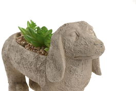 DKD Home Decor Planta Tradicional Beige Verde Resina Pe 8 x 15.5 x 31 cm (4 Unidades)