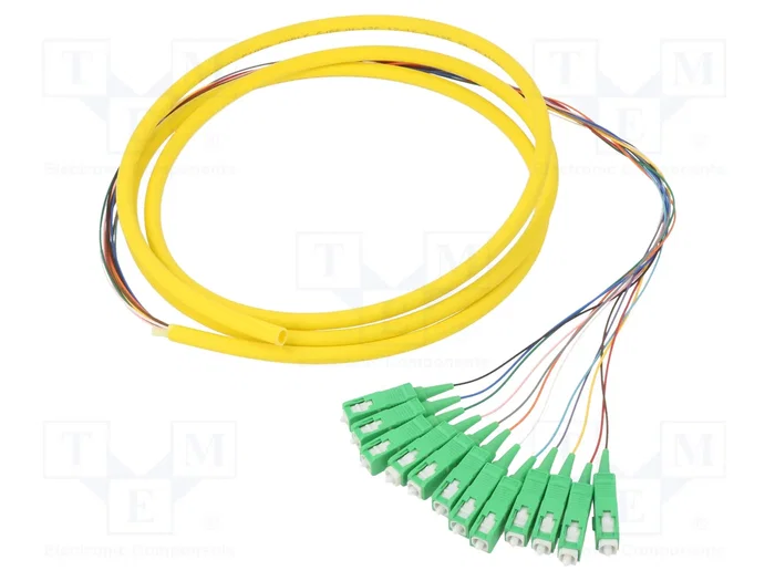 QOLTEC Trenzado de fibra óptica SC/APC x12, 2m, SMF G657A2 QOLTEC Trenzado de fibra óptica SC/APC x12, 2m, SMF G657A2