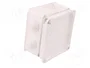 ELEKTRO-PLAST NASIELSK Caja de conexiones EP-LUX Blanca
