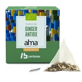 ALMA HOME Te Verde Ginger Antiox Infusion 15 Pirámides Eco - Infusión Ecológica de Té Verde con Jengibre y Citronela