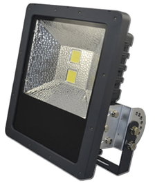 Foco LED Proyector Vial CW100 Luz Fría 100-240VCA 50/60Hz 31ROY100121