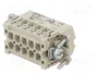 LAPP EPIC H-A Plantilla de Contacto Macho HDC 10 PIN 16A