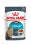 Royal Canin Feline Urinary Care Gravy 12x85g