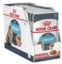 Royal Canin Feline Urinary Care Gravy 12x85g