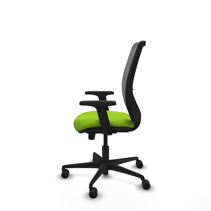 PIQUERAS Y CRESPO Silla de oficina Zulema con mecanismo Sincro/Traslack, Pistacho y Gris PIQUERAS Y CRESPO Silla de oficina Zulema con mecanismo Sincro/Traslack, Pistacho y Gris