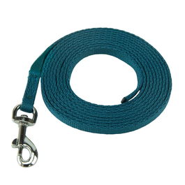 Correa de adiestramiento Coachi Puppy & Mini Verde 2,5 m