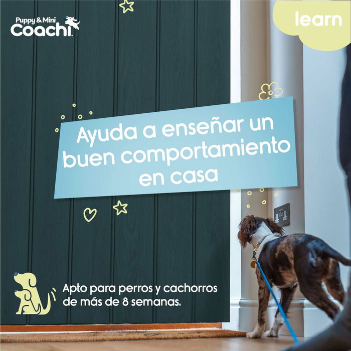 Correa de adiestramiento Coachi Puppy & Mini Verde 2,5 m