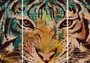DKD Home Decor Set de 3 Cuadros de Lienzo Tigre Naranja
