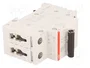 ABB S202-C40 Interruptor magnetotérmico 2 polos 40A 6kA