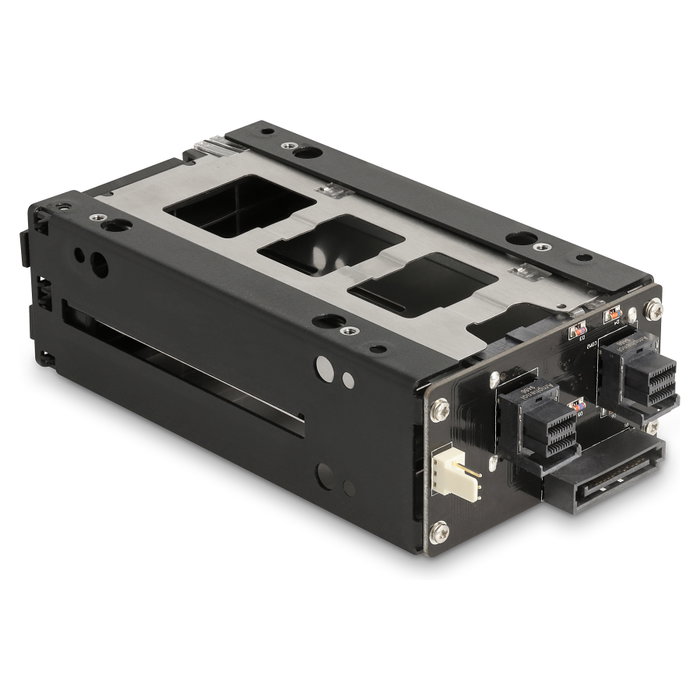 DeLOCK Estante móvil para 2 x 2.5 pulg. U.2 NVMe SSD
