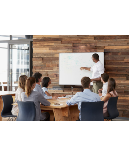 Bioffice Pizarra Lacada Magnética 600x450 MA02759214