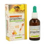 Pinisan Extracto de Propóleo sin resinas 50 ml