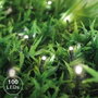 Bambasy Guirnalda LED 10M con Luz Cálida y 8 Funciones