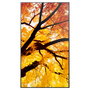 Monitor Videowall Sharp 60006055 4K Ultra HD 55"