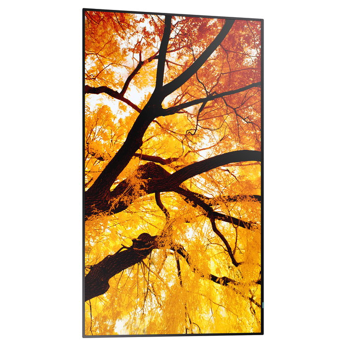Monitor Videowall Sharp 60006055 4K Ultra HD 55" Monitor Videowall Sharp 60006055 4K Ultra HD 55"