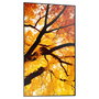 Monitor Videowall Sharp 60006055 4K Ultra HD 55"