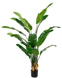 DKD Home Decor Planta Bananera Verde (Pack de 2)